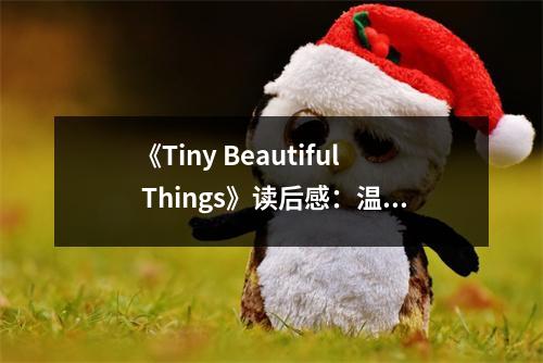 《Tiny Beautiful Things》讀后感：溫暖如陽光的治愈力量 (1050字)