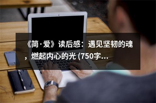 《簡·愛》讀后感：遇見堅韌的魂，燃起內(nèi)心的光 (750字)