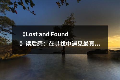 《Lost and Found》讀后感：在尋找中遇見最真的自己 (750字)