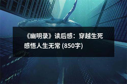 《幽明錄》讀后感：穿越生死感悟人生無常 (850字)
