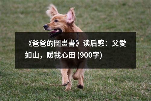 《爸爸的圖畫書》讀后感：父愛如山，暖我心田 (900字)