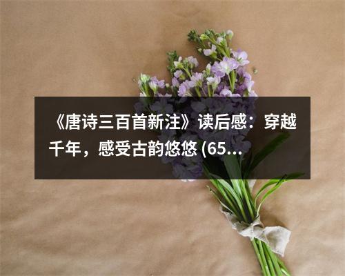 《唐詩三百首新注》讀后感：穿越千年，感受古韻悠悠 (650字)