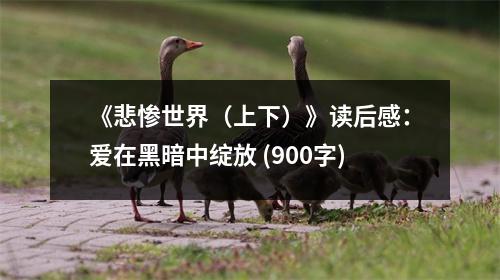 《悲慘世界（上下）》讀后感：愛在黑暗中綻放 (900字)