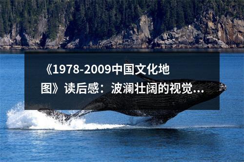 《1978-2009中國(guó)文化地圖》讀后感：波瀾壯闊的視覺盛宴 (800字)