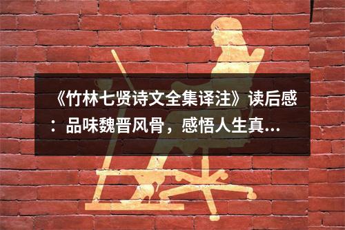 《竹林七賢詩文全集譯注》讀后感：品味魏晉風骨，感悟人生真諦 (900字)