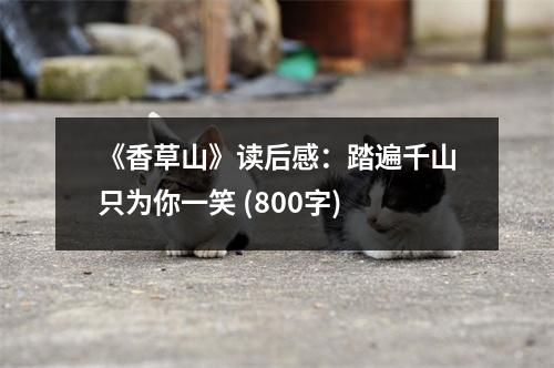 《香草山》讀后感：踏遍千山只為你一笑 (800字)