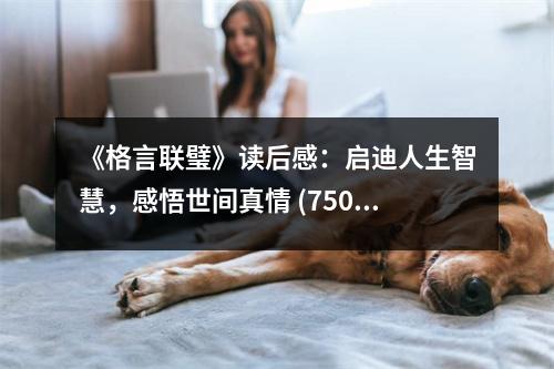 《格言聯(lián)璧》讀后感：啟迪人生智慧，感悟世間真情 (750字)