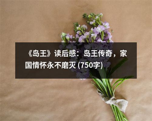 《島王》讀后感：島王傳奇，家國情懷永不磨滅 (750字)