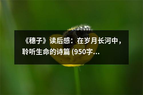《穗子》讀后感：在歲月長河中，聆聽生命的詩篇 (950字)