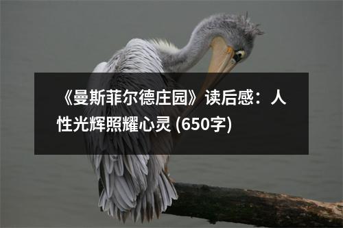 《曼斯菲爾德莊園》讀后感：人性光輝照耀心靈 (650字)
