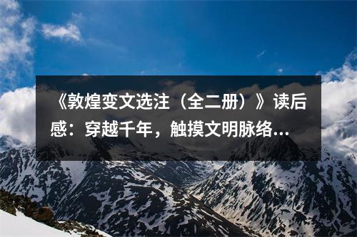 《敦煌變文選注（全二冊）》讀后感：穿越千年，觸摸文明脈絡(luò) (950字)