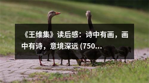 《王維集》讀后感：詩中有畫，畫中有詩，意境深遠(yuǎn) (750字)