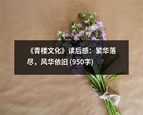 《青樓文化》讀后感：繁華落盡，風(fēng)華依舊 (950字)