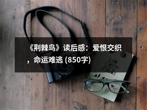 《荊棘鳥》讀后感：愛恨交織，命運難逃 (850字)