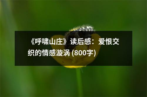 《呼嘯山莊》讀后感：愛恨交織的情感漩渦 (800字)