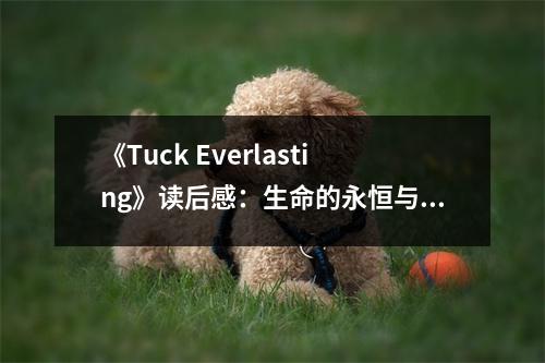 《Tuck Everlasting》讀后感：生命的永恒與愛的重量 (950字)