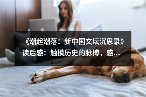 《潮起潮落：新中國文壇沉思錄》讀后感：觸摸歷史的脈搏，感悟文學(xué)的輝煌 (750字)