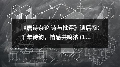 《唐詩雜論 詩與批評(píng)》讀后感：千年詩韻，情感共鳴濃 (1050字)