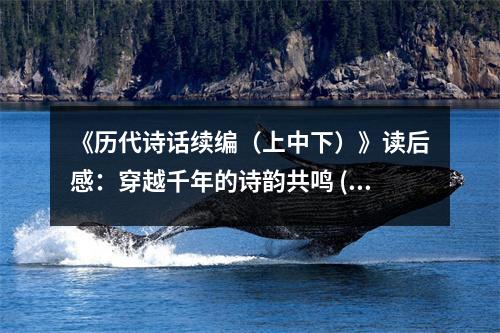 《歷代詩話續(xù)編（上中下）》讀后感：穿越千年的詩韻共鳴 (900字)