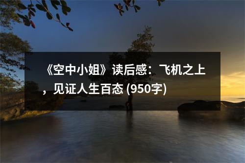 《空中小姐》讀后感：飛機(jī)之上，見(jiàn)證人生百態(tài) (950字)