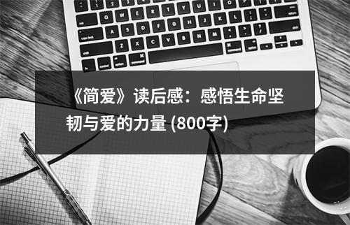 《簡愛》讀后感：感悟生命堅韌與愛的力量 (800字)
