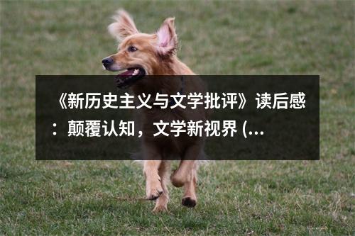 《新歷史主義與文學(xué)批評》讀后感：顛覆認(rèn)知，文學(xué)新視界 (1050字)