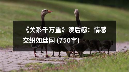 《關(guān)系千萬重》讀后感：情感交織如絲網(wǎng) (750字)