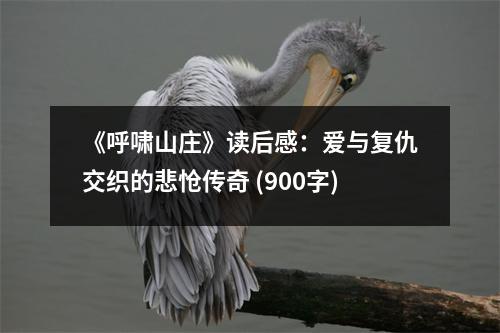 《呼嘯山莊》讀后感：愛與復(fù)仇交織的悲愴傳奇 (900字)