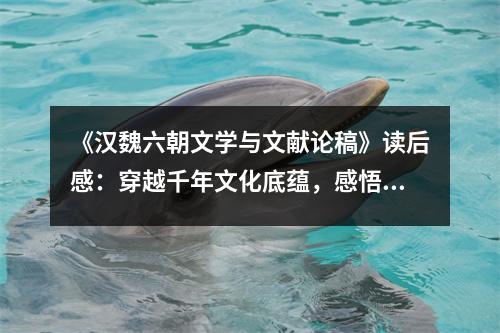 《漢魏六朝文學(xué)與文獻論稿》讀后感：穿越千年文化底蘊，感悟華夏文脈傳承 (1200字)