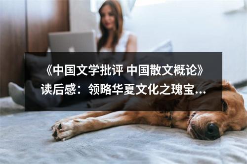 《中國文學(xué)批評 中國散文概論》讀后感：領(lǐng)略華夏文化之瑰寶 (1000字)