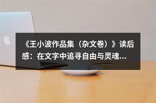 《王小波作品集（雜文卷）》讀后感：在文字中追尋自由與靈魂的共鳴 (750字)