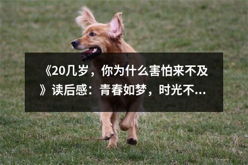 《20幾歲，你為什么害怕來不及》讀后感：青春如夢，時光不可留 (750字)