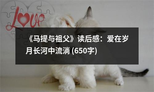 《馬提與祖父》讀后感：愛在歲月長河中流淌 (650字)