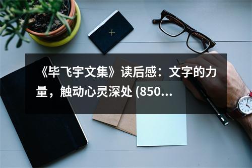 《畢飛宇文集》讀后感：文字的力量，觸動心靈深處 (850字)