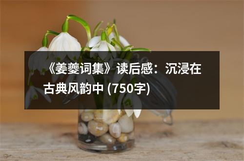 《姜夔詞集》讀后感：沉浸在古典風(fēng)韻中 (750字)