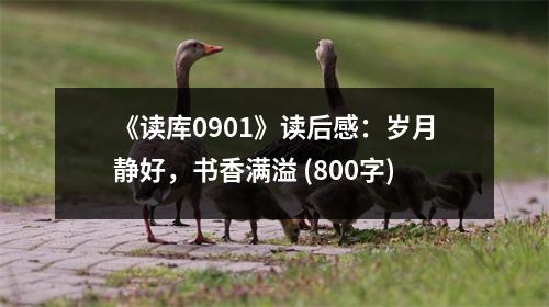 《讀庫0901》讀后感：歲月靜好，書香滿溢 (800字)