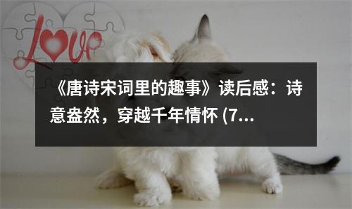 《唐詩宋詞里的趣事》讀后感：詩意盎然，穿越千年情懷 (750字)