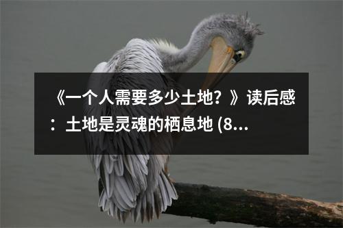 《一個(gè)人需要多少土地？》讀后感：土地是靈魂的棲息地 (800字)