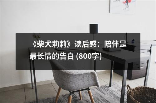 《柴犬莉莉》讀后感：陪伴是最長(zhǎng)情的告白 (800字)