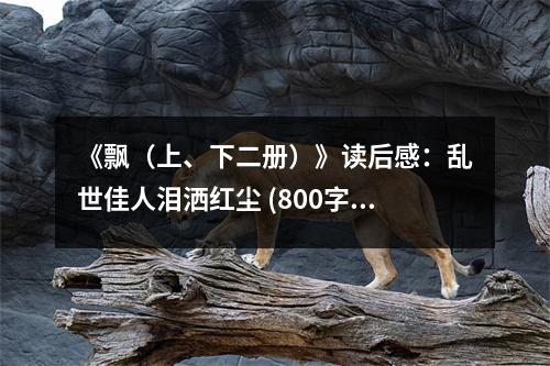 《飄（上、下二冊(cè)）》讀后感：亂世佳人淚灑紅塵 (800字)