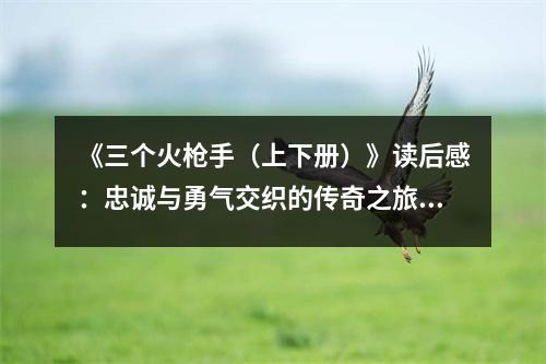 《三個(gè)火槍手（上下冊(cè)）》讀后感：忠誠(chéng)與勇氣交織的傳奇之旅 (800字)