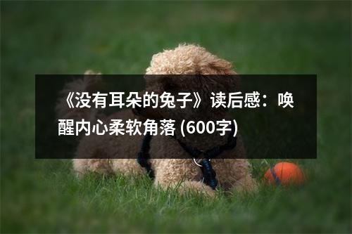 《沒有耳朵的兔子》讀后感：?jiǎn)拘褍?nèi)心柔軟角落 (600字)