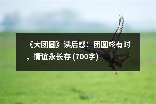 《大團圓》讀后感：團圓終有時，情誼永長存 (700字)