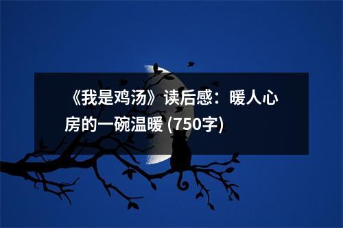 《我是雞湯》讀后感：暖人心房的一碗溫暖 (750字)
