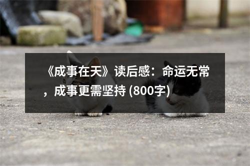 《成事在天》讀后感：命運無常，成事更需堅持 (800字)
