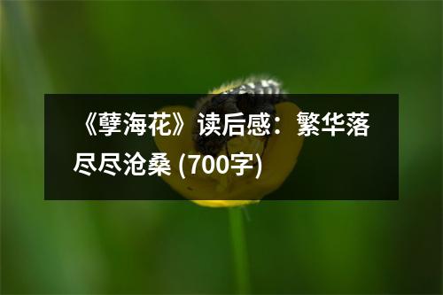 《孽海花》讀后感：繁華落盡盡滄桑 (700字)