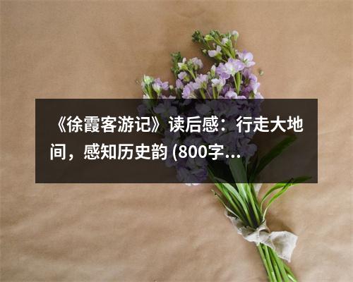 《徐霞客游記》讀后感：行走大地間，感知歷史韻 (800字)