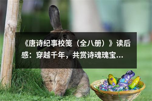 《唐詩紀(jì)事校箋（全八冊）》讀后感：穿越千年，共賞詩魂瑰寶 (800字)