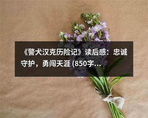 《警犬漢克歷險(xiǎn)記》讀后感：忠誠守護(hù)，勇闖天涯 (850字)