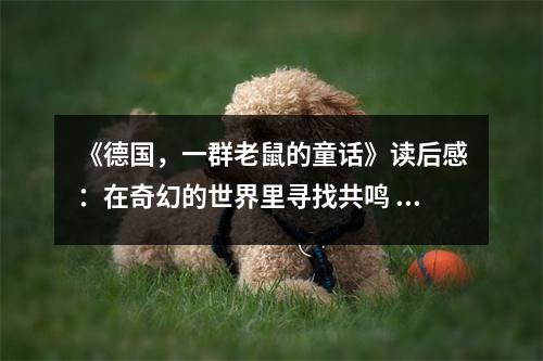 《德國，一群老鼠的童話》讀后感：在奇幻的世界里尋找共鳴 (700字)
